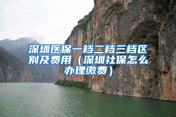 深圳医保一档二档三档区别及费用（深圳社保怎么办理缴费）