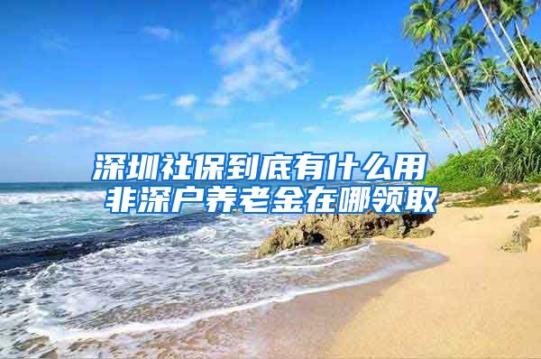 深圳社保到底有什么用 非深户养老金在哪领取