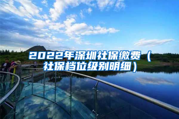 2022年深圳社保缴费（社保档位级别明细）