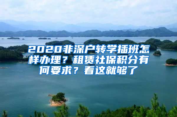 2020非深户转学插班怎样办理？租赁社保积分有何要求？看这就够了