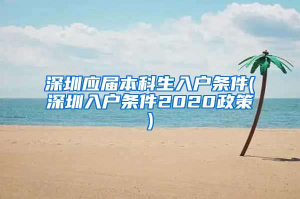 深圳应届本科生入户条件(深圳入户条件2020政策)