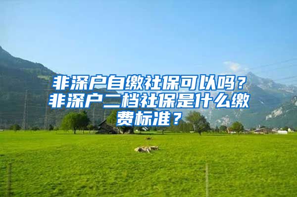 非深户自缴社保可以吗？非深户二档社保是什么缴费标准？