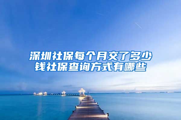 深圳社保每个月交了多少钱社保查询方式有哪些