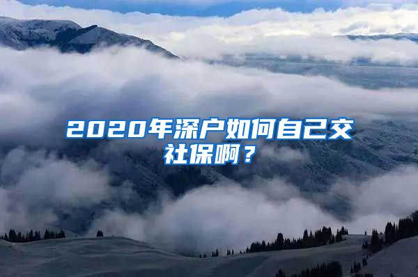 2020年深户如何自己交社保啊？