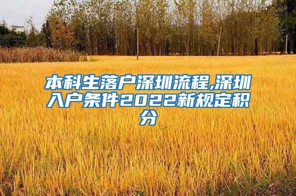 本科生落户深圳流程,深圳入户条件2022新规定积分