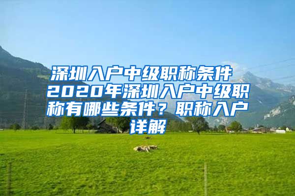 深圳入户中级职称条件 2020年深圳入户中级职称有哪些条件？职称入户详解