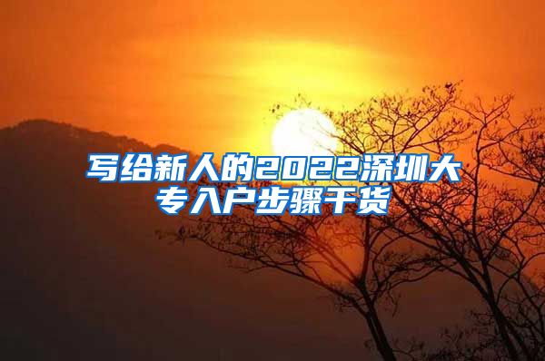 写给新人的2022深圳大专入户步骤干货