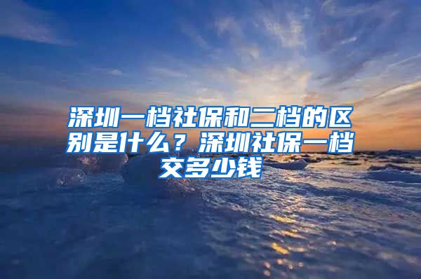 深圳一档社保和二档的区别是什么？深圳社保一档交多少钱