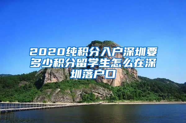 2020纯积分入户深圳要多少积分留学生怎么在深圳落户口