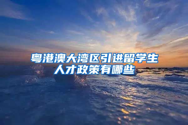 粤港澳大湾区引进留学生人才政策有哪些