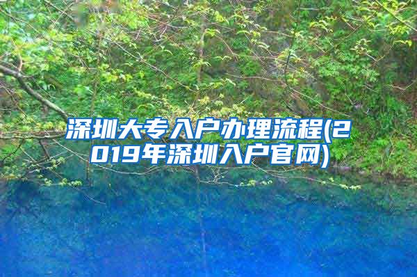 深圳大专入户办理流程(2019年深圳入户官网)