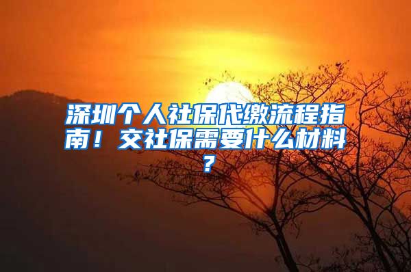 深圳个人社保代缴流程指南！交社保需要什么材料？