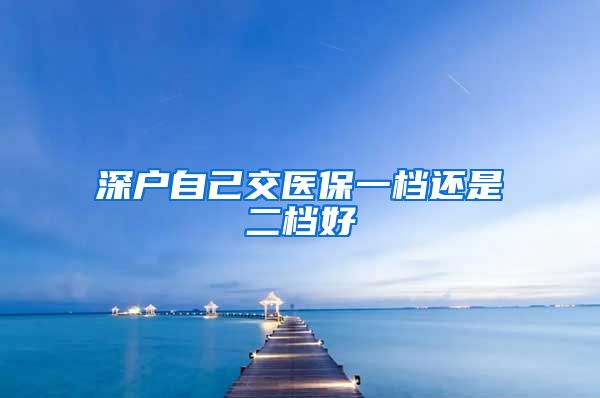 深户自己交医保一档还是二档好