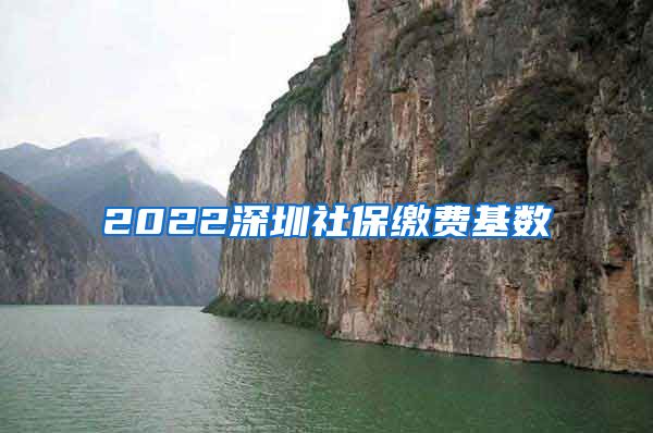 2022深圳社保缴费基数