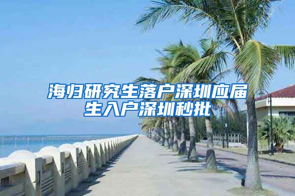 海归研究生落户深圳应届生入户深圳秒批