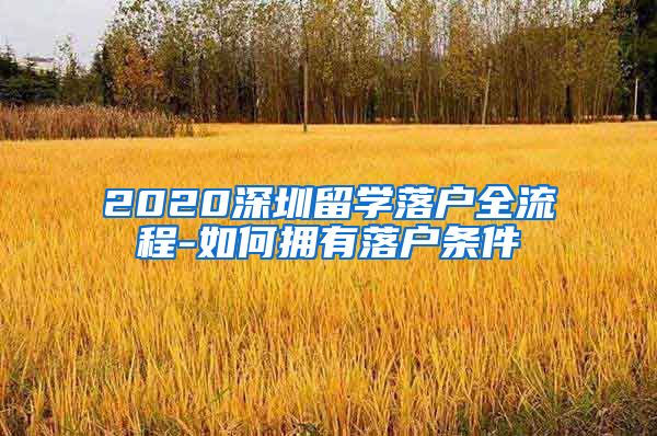 2020深圳留学落户全流程-如何拥有落户条件