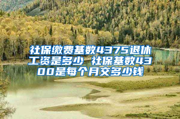 社保缴费基数4375退休工资是多少 社保基数4300是每个月交多少钱