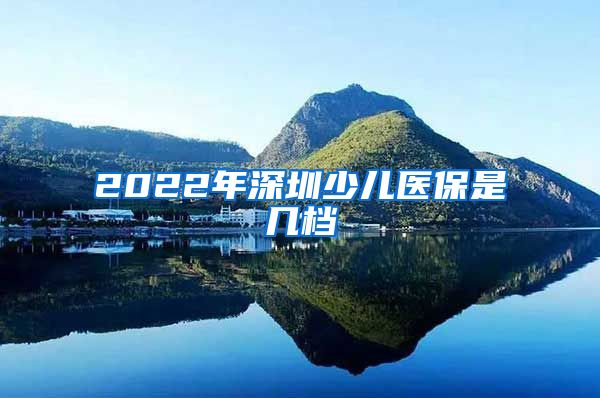 2022年深圳少儿医保是几档