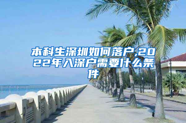 本科生深圳如何落户,2022年入深户需要什么条件