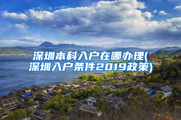 深圳本科入户在哪办理(深圳入户条件2019政策)