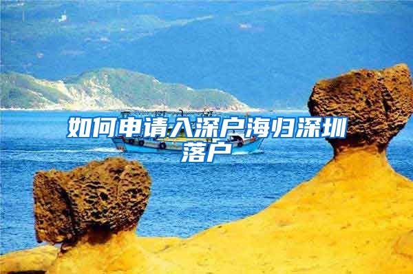 如何申请入深户海归深圳落户