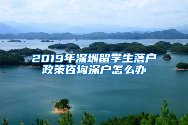 2019年深圳留学生落户政策咨询深户怎么办