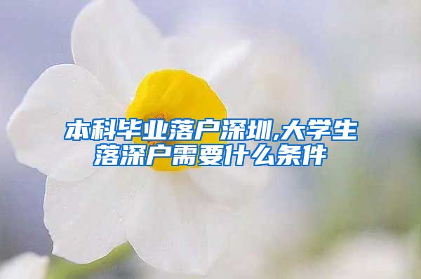 本科毕业落户深圳,大学生落深户需要什么条件