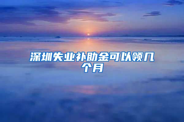 深圳失业补助金可以领几个月