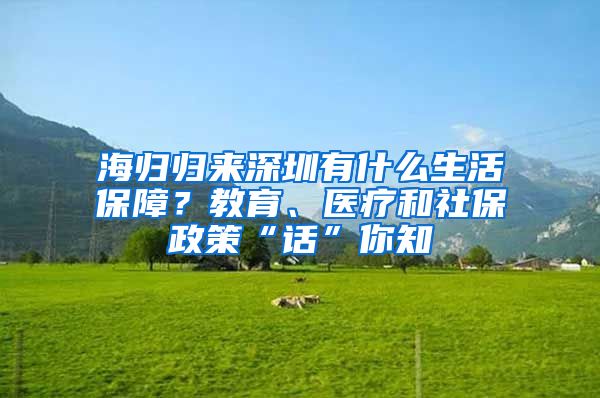 海归归来深圳有什么生活保障？教育、医疗和社保政策“话”你知