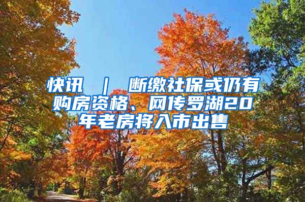 快讯 ｜ 断缴社保或仍有购房资格、网传罗湖20年老房将入市出售