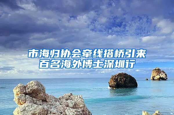 市海归协会牵线搭桥引来百名海外博士深圳行