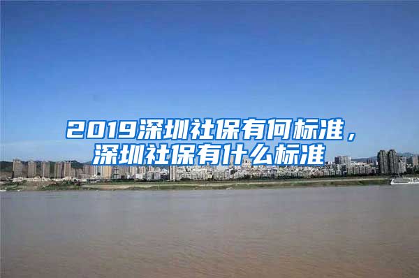 2019深圳社保有何标准，深圳社保有什么标准