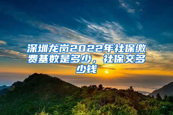 深圳龙岗2022年社保缴费基数是多少，社保交多少钱