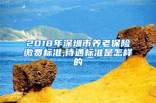 2018年深圳市养老保险缴费标准,待遇标准是怎样的