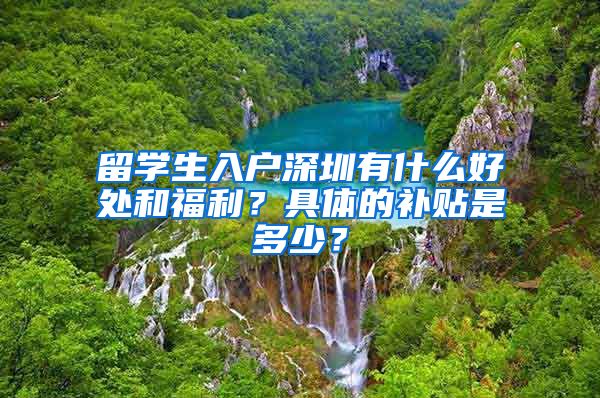 留学生入户深圳有什么好处和福利？具体的补贴是多少？