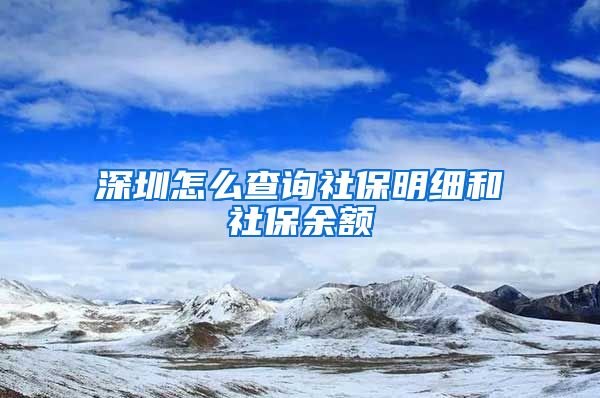 深圳怎么查询社保明细和社保余额