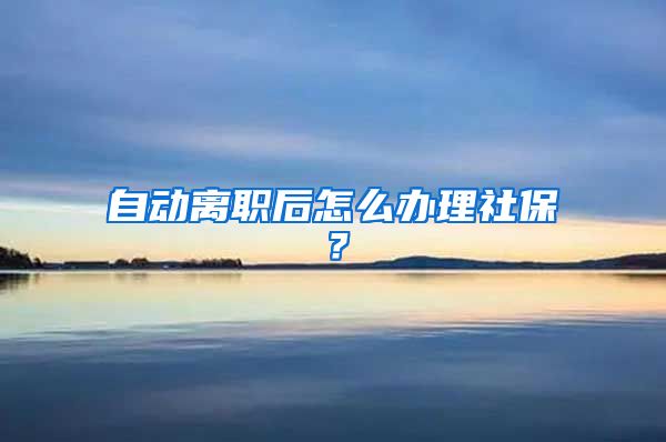 自动离职后怎么办理社保？