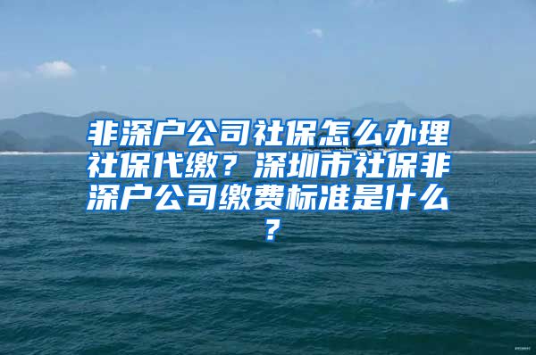 非深户公司社保怎么办理社保代缴？深圳市社保非深户公司缴费标准是什么？