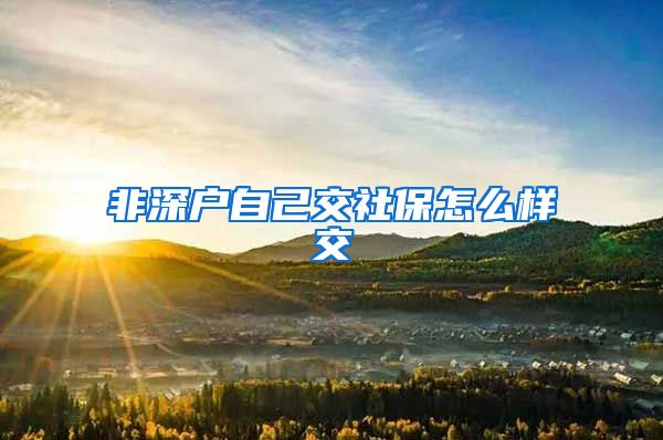 非深户自己交社保怎么样交