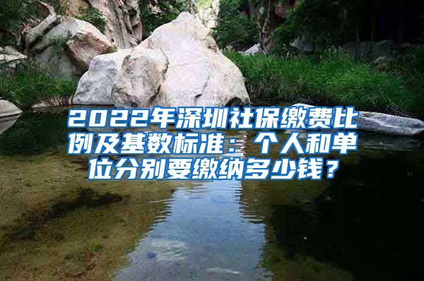 2022年深圳社保缴费比例及基数标准：个人和单位分别要缴纳多少钱？