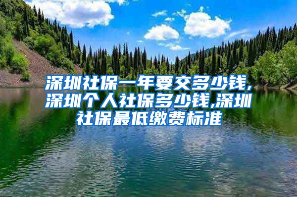 深圳社保一年要交多少钱,深圳个人社保多少钱,深圳社保最低缴费标准