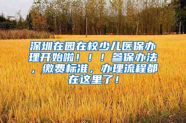 深圳在园在校少儿医保办理开始啦！！！参保办法，缴费标准，办理流程都在这里了！