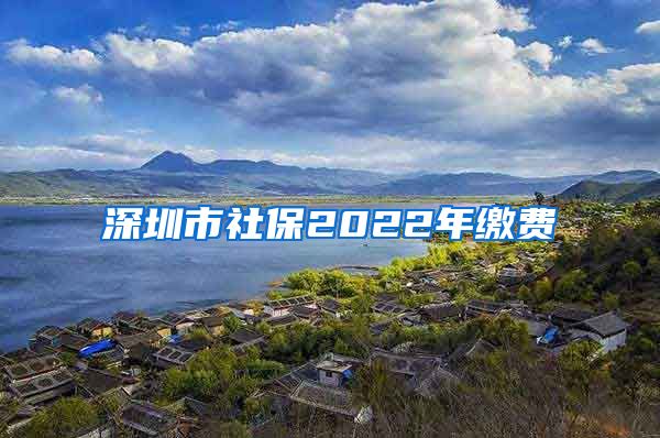 深圳市社保2022年缴费