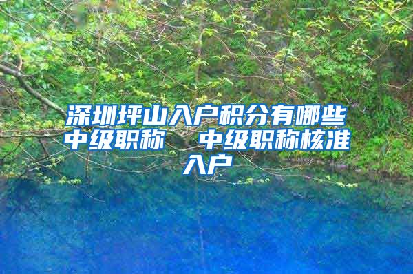 深圳坪山入户积分有哪些中级职称  中级职称核准入户