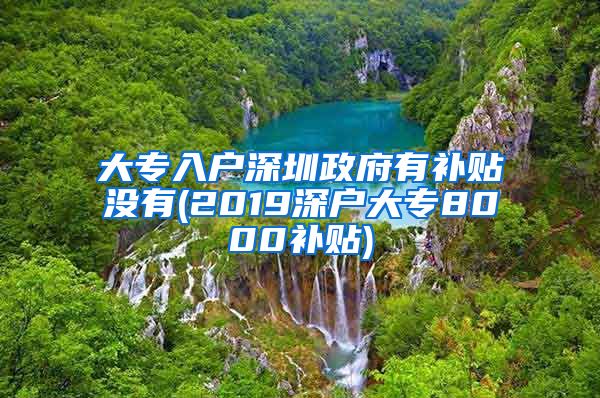 大专入户深圳政府有补贴没有(2019深户大专8000补贴)