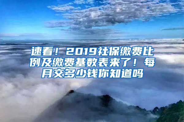 速看！2019社保缴费比例及缴费基数表来了！每月交多少钱你知道吗