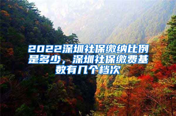 2022深圳社保缴纳比例是多少，深圳社保缴费基数有几个档次