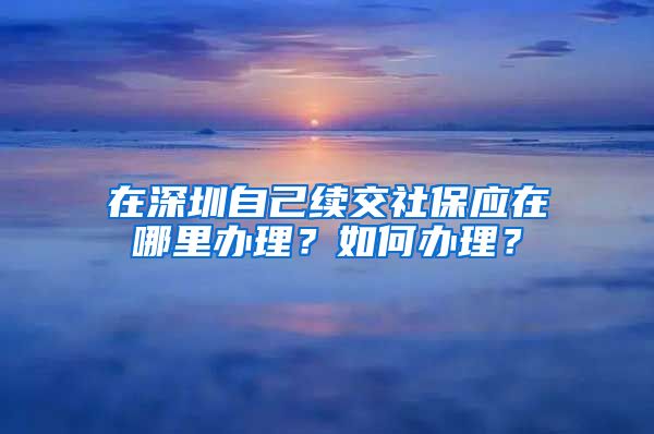 在深圳自己续交社保应在哪里办理？如何办理？