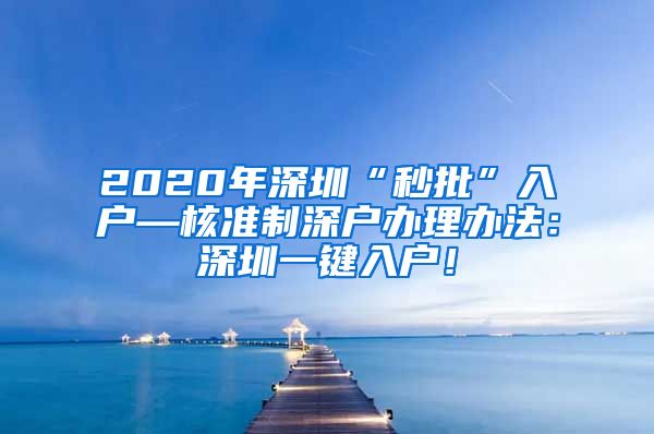 2020年深圳“秒批”入户—核准制深户办理办法：深圳一键入户！