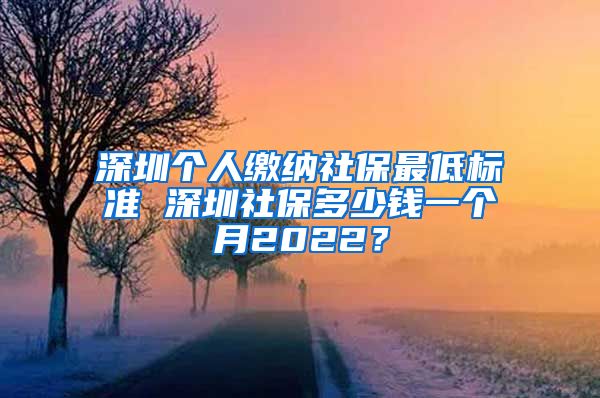 深圳个人缴纳社保最低标准 深圳社保多少钱一个月2022？